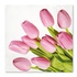 Papírenské zboží - Obrúsky TaT 33x33cm Lovely Tulips [20 ks]
